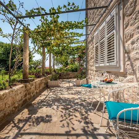 Apartment Old Garden Dubrovnik Eksteriør billede